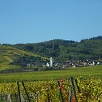 Ecologis Du Vignoble *
