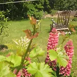 Ecologis Du Vignoble Katzenthal