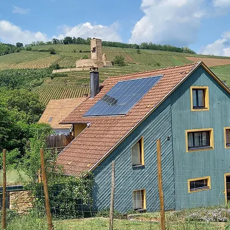 Eco-logis Du Vignoble Dom wakacyjny