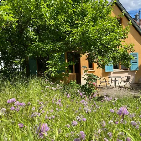 Eco-logis Du Vignoble * Katzenthal