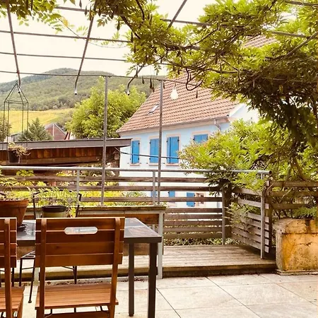 Ecologis Du Vignoble