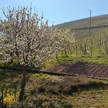 Σπίτι διακοπών Ecologis Du Vignoble