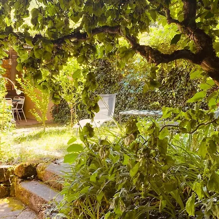 Eco-logis Du Vignoble Tatil Evi Katzenthal