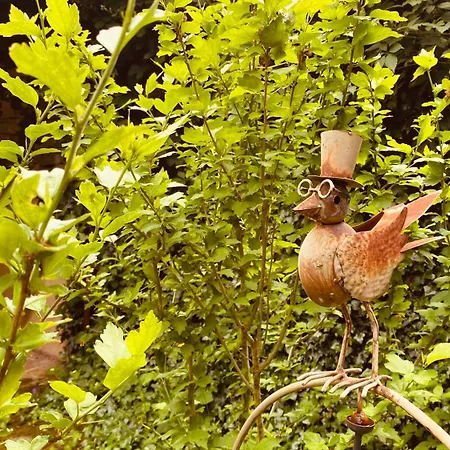 Dom wakacyjny Eco-logis Du Vignoble Katzenthal