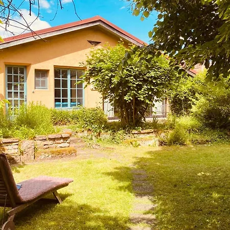 Ecologis Du Vignoble *