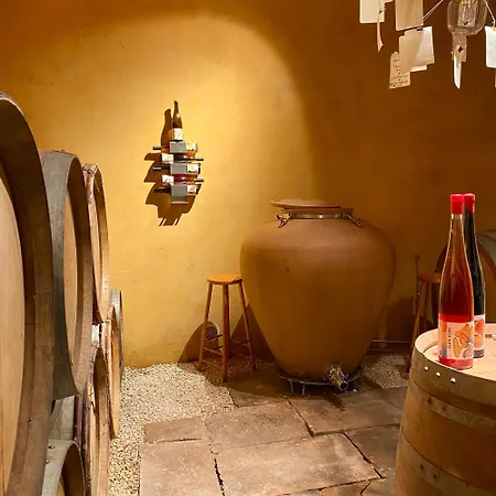Ecologis Du Vignoble Katzenthal
