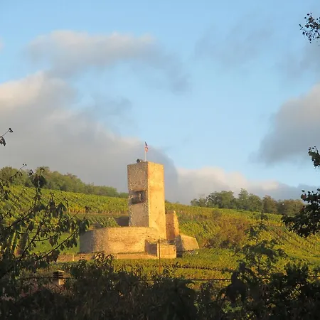 Eco-logis Du Vignoble