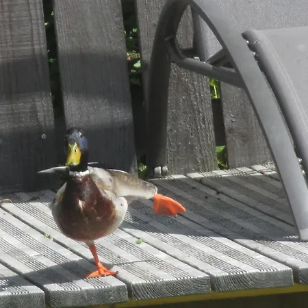 Dom wakacyjny Eco-logis Du Vignoble