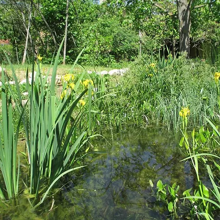 Tatil Evi Eco-logis Du Vignoble Katzenthal