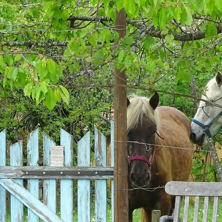 Eco-logis Du Vignoble Tatil Evi Katzenthal