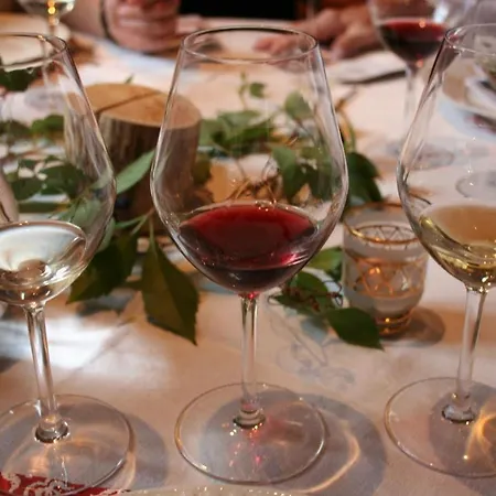 Eco-logis Du Vignoble Dom wakacyjny *