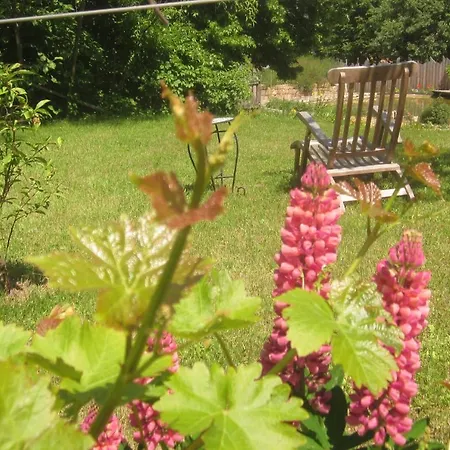 Eco-logis Du Vignoble Katzenthal