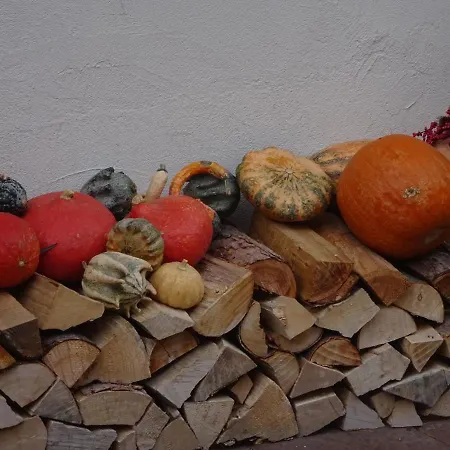 펜션 Eco-logis Du Vignoble