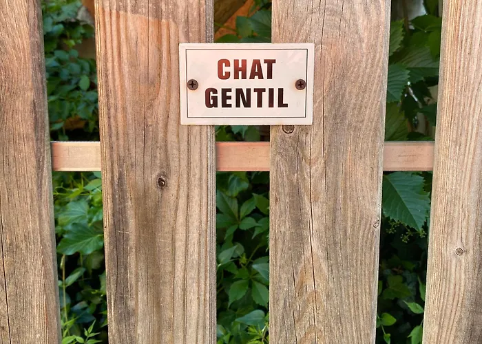 Eco-logis Du Vignoble *