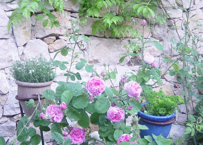 Eco-logis Du Vignoble * Katzenthal