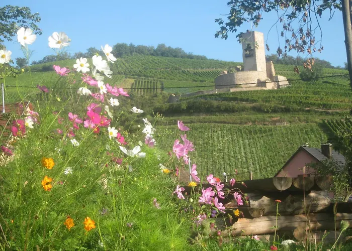 Prázdninový dům Eco-logis Du Vignoble