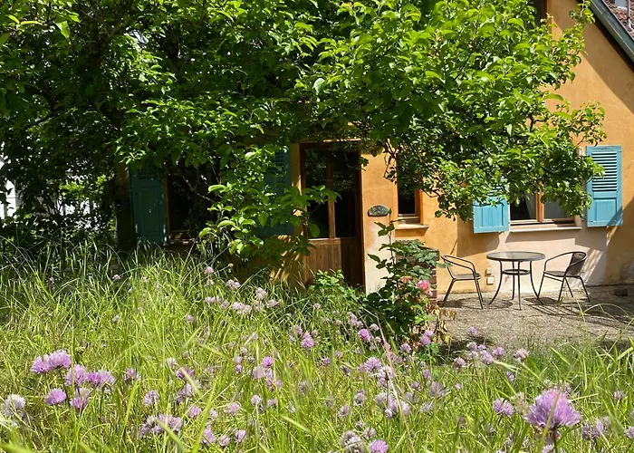 Eco-logis Du Vignoble * Katzenthal