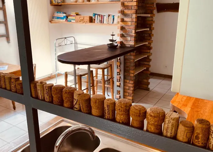 Ecologis Du Vignoble Tatil Evi Katzenthal