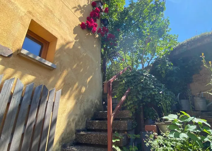 Tatil Evi Ecologis Du Vignoble Katzenthal