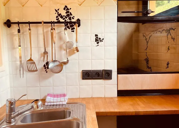 Eco-logis Du Vignoble * Katzenthal