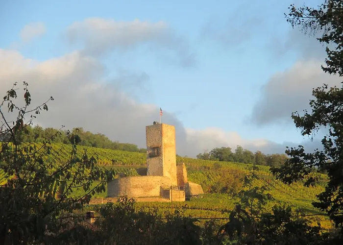 Eco-logis Du Vignoble