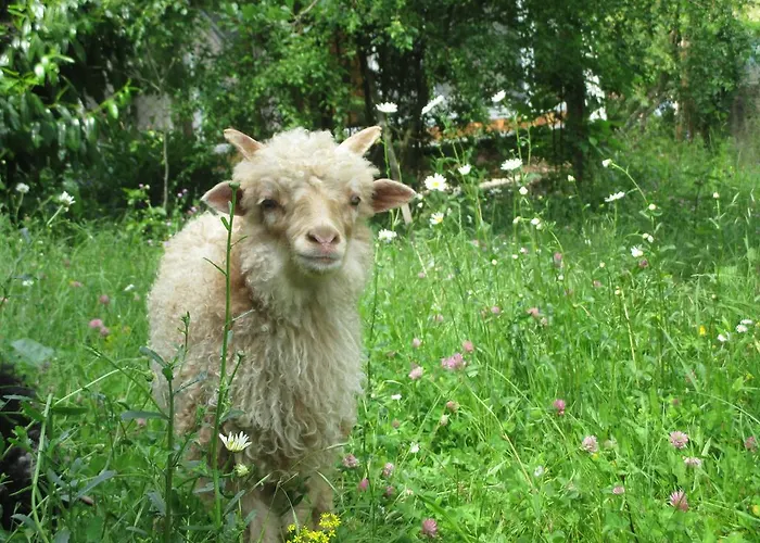 Eco-logis Du Vignoble Prázdninový dům Katzenthal