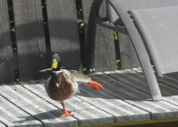 Prázdninový dům Eco-logis Du Vignoble