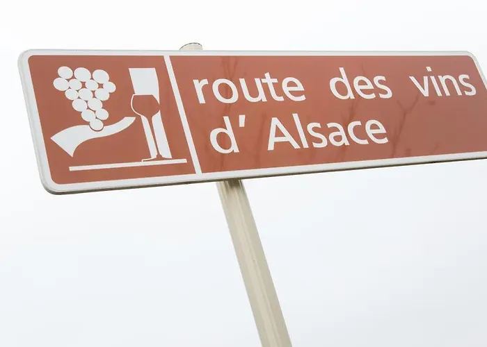 Prázdninový dům Eco-logis Du Vignoble