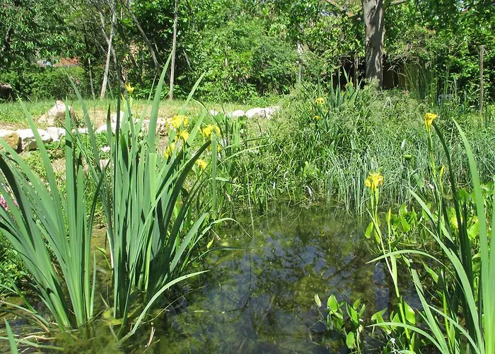 Tatil Evi Ecologis Du Vignoble Katzenthal