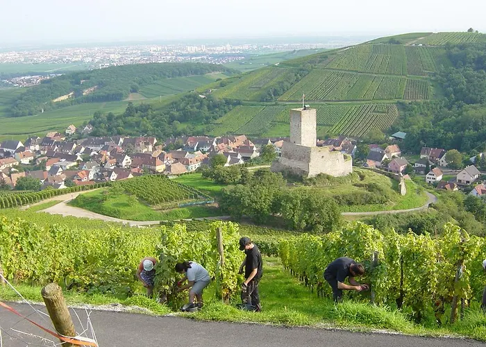Eco-logis Du Vignoble Prázdninový dům Katzenthal