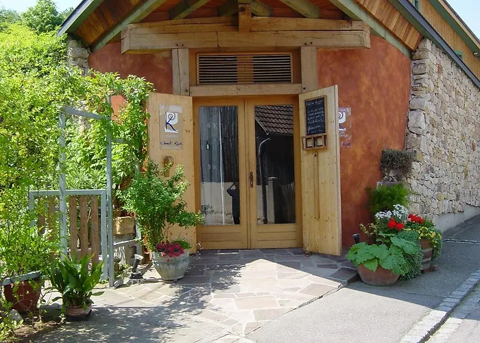Ecologis Du Vignoble Tatil Evi Katzenthal