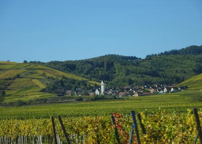 Eco-logis Du Vignoble *
