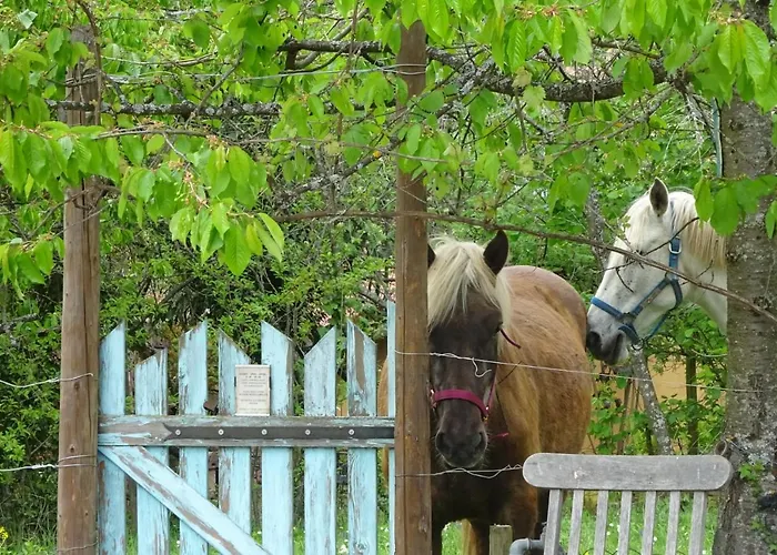 Eco-logis Du Vignoble Prázdninový dům Katzenthal