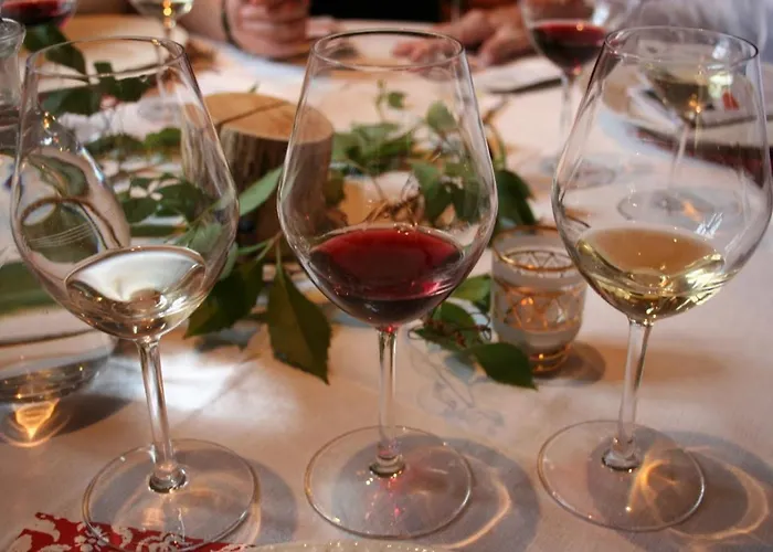 Eco-logis Du Vignoble Prázdninový dům *