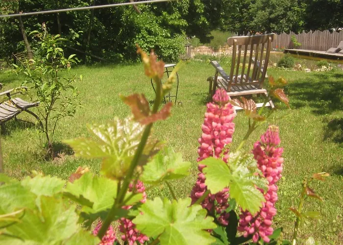 Eco-logis Du Vignoble Katzenthal