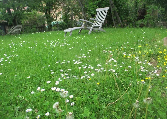 Eco-logis Du Vignoble *