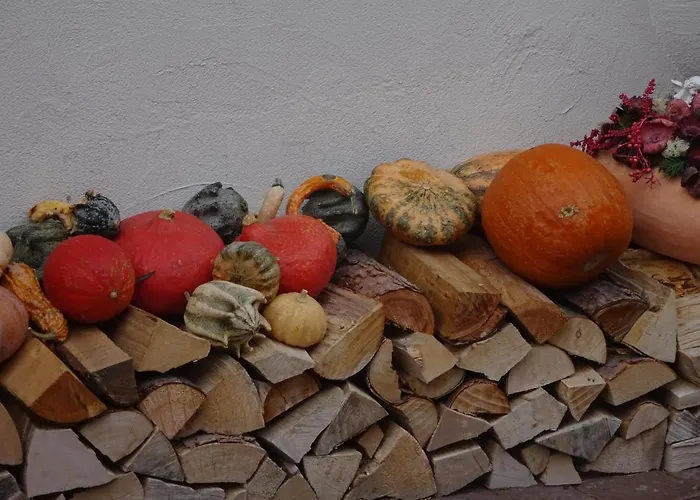 Tatil Evi Ecologis Du Vignoble